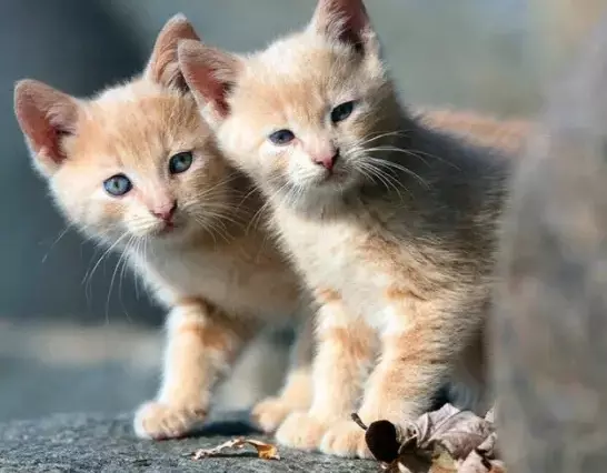 Рассказы для души