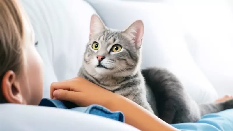 Рассказы для души