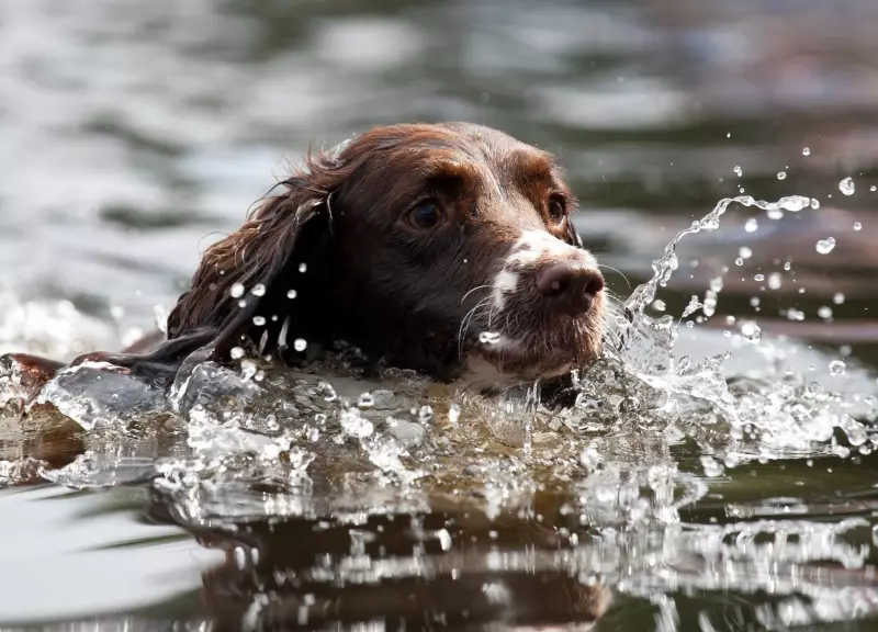 Рассказы для души