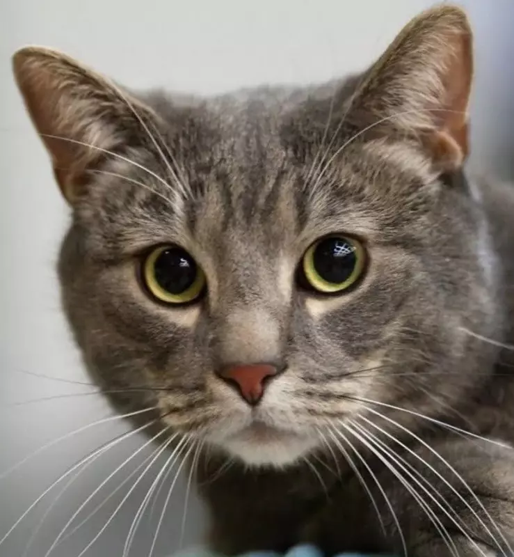 Рассказы для души