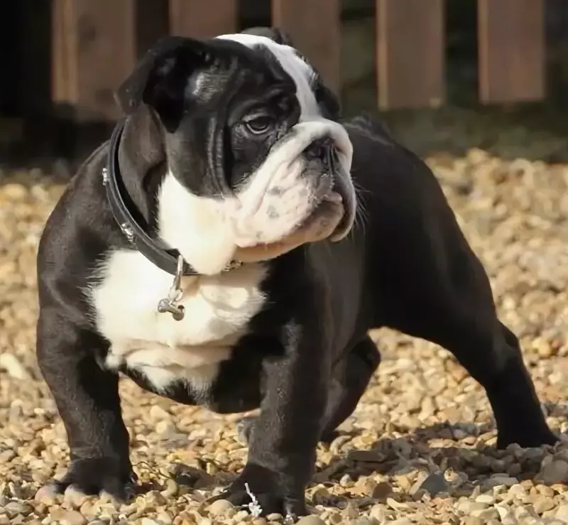 Рассказы для души