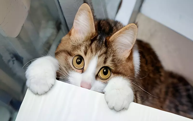 Рассказы для души