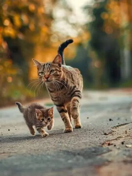 Рассказы для души