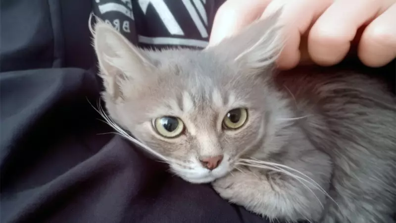 Рассказы для души