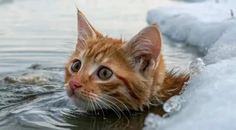 Рассказы для души