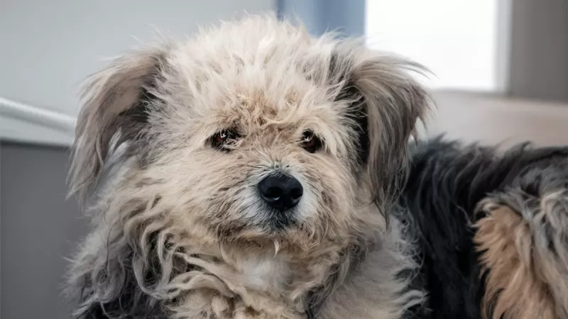 Рассказы для души