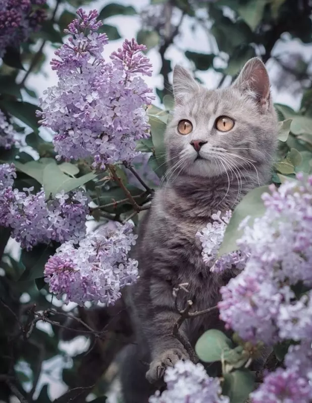 Рассказы для души