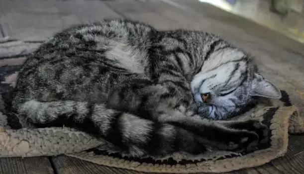 Рассказы для души