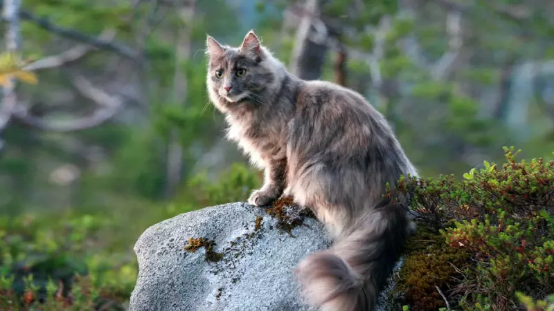 Рассказы для души