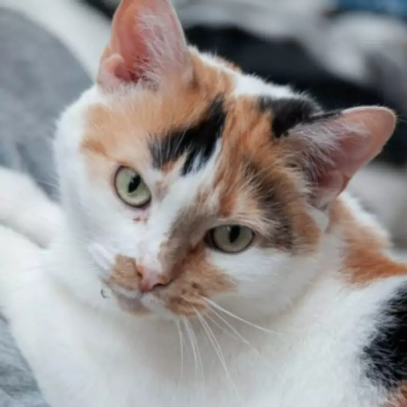 Рассказы для души