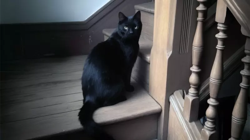 Рассказы для души