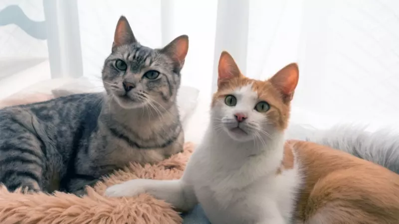 Рассказы для души