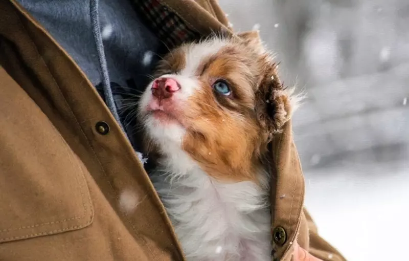 Рассказы для души