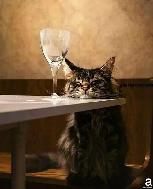 Рассказы для души