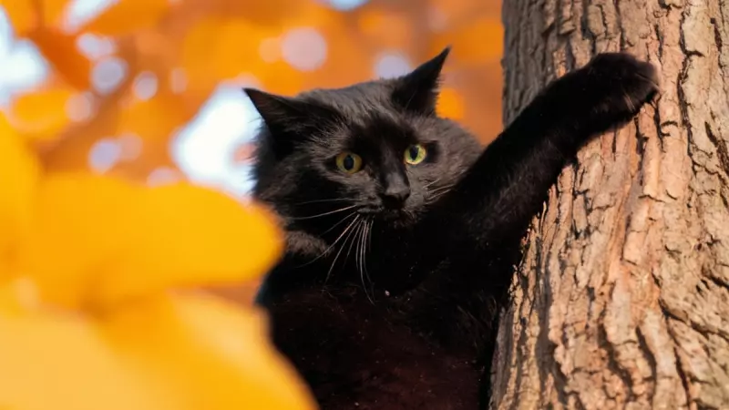 Рассказы для души