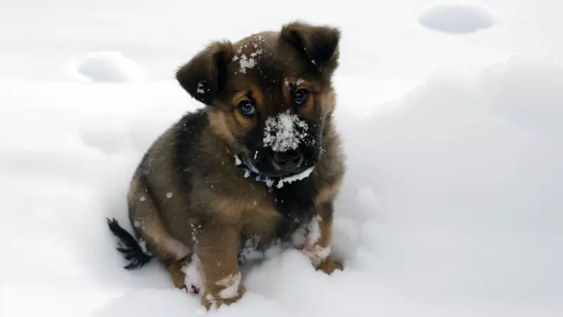 Рассказы для души