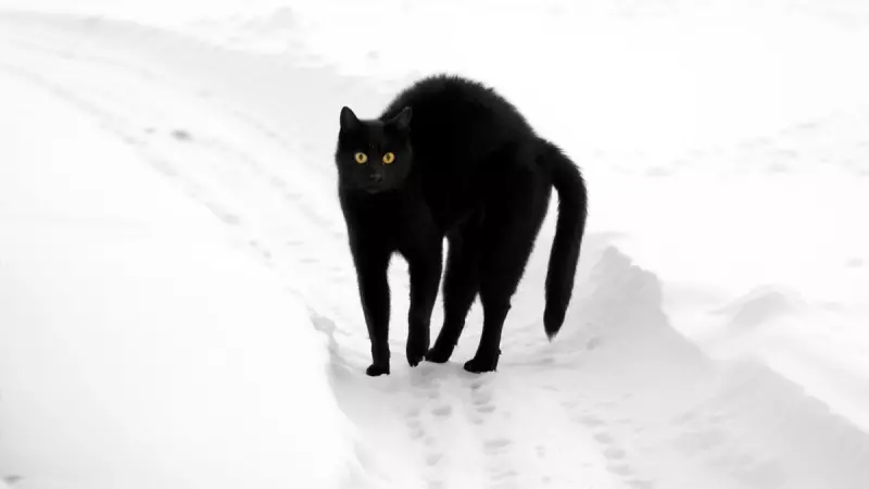 Рассказы для души