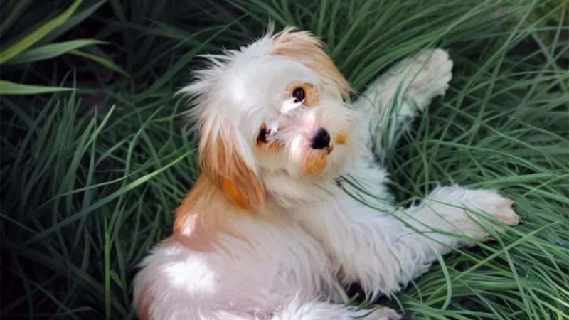 Рассказы для души