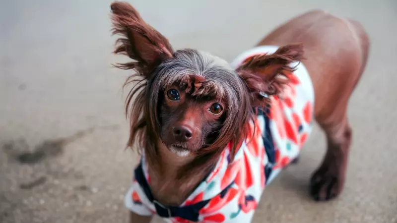 Рассказы для души