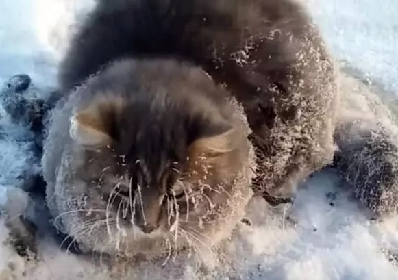 Рассказы для души