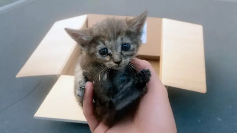 Рассказы для души