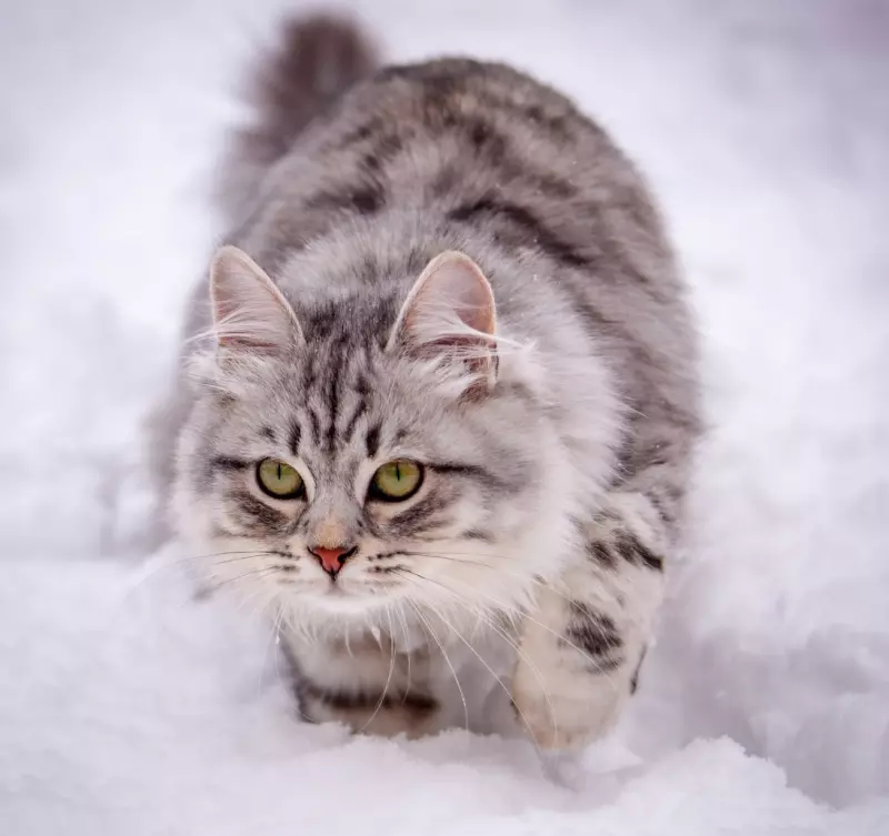 Рассказы для души