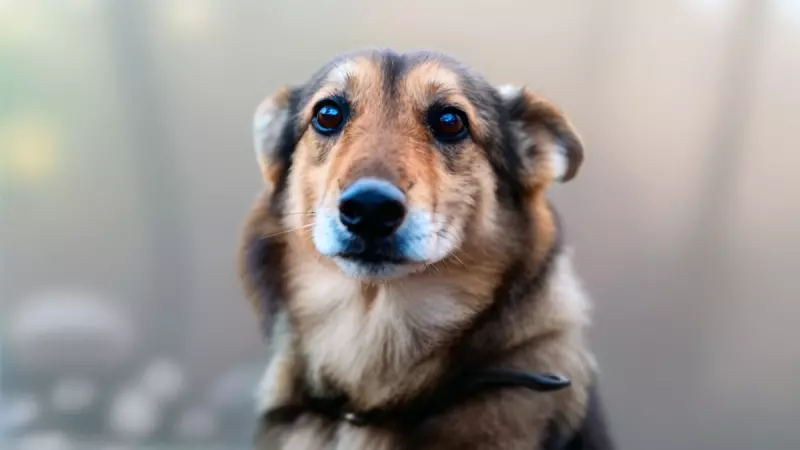 Рассказы для души