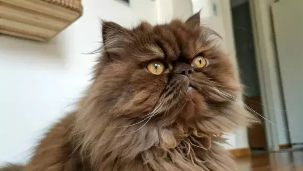 Рассказы для души