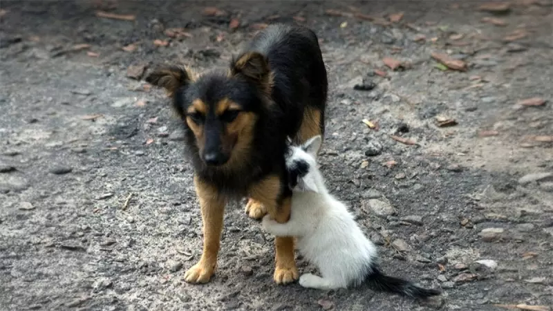 Рассказы для души