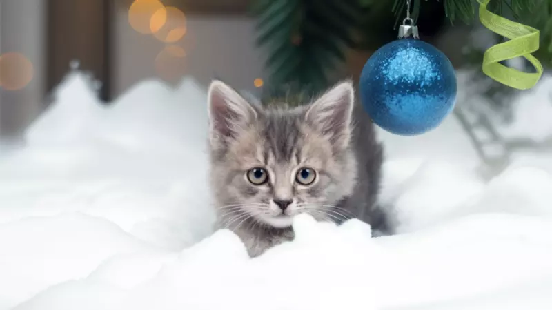 Рассказы для души