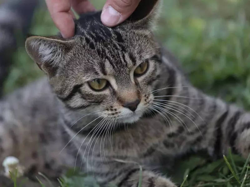 Рассказы для души