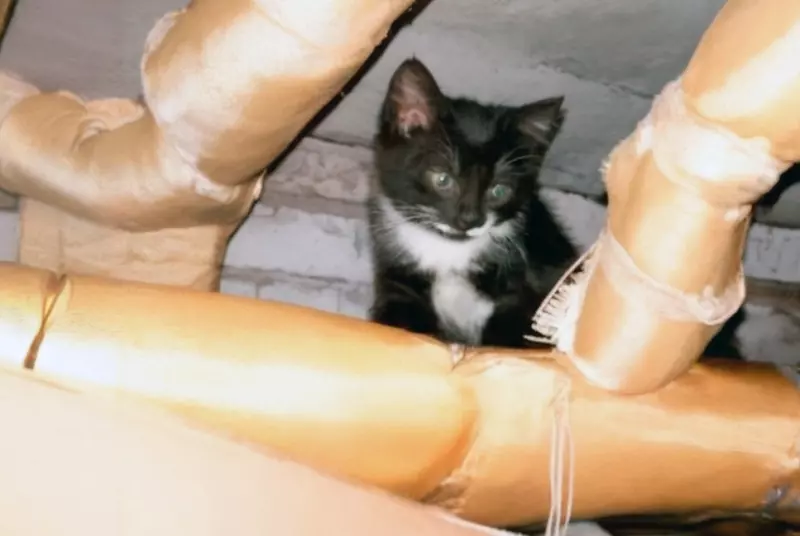 Рассказы для души