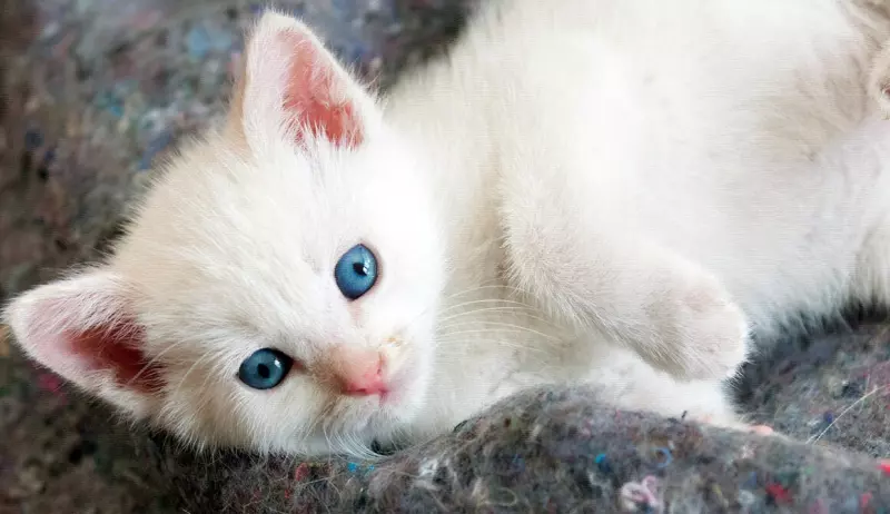 Рассказы для души