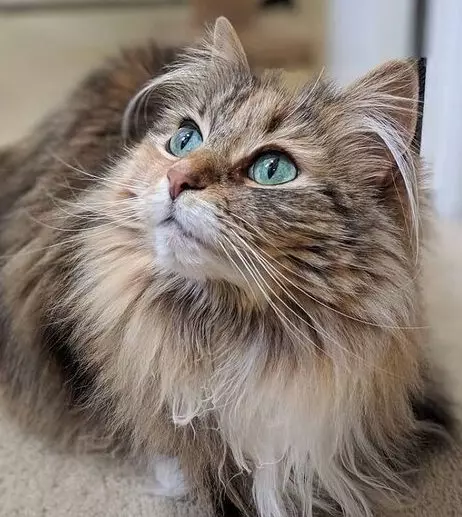 Рассказы для души