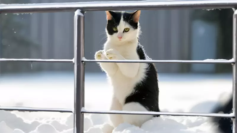 Рассказы для души