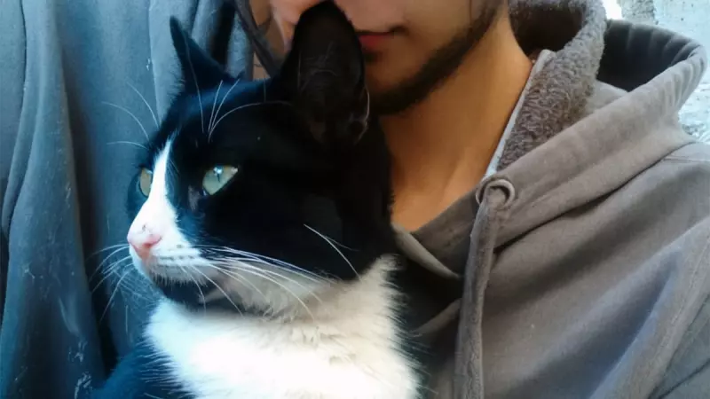 Рассказы для души