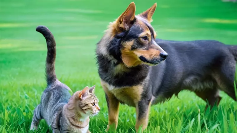 Рассказы для души