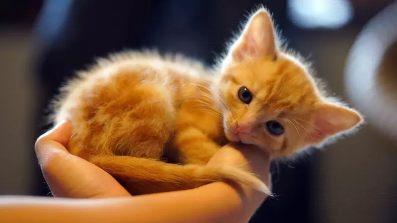 Рассказы для души