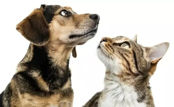 Рассказы для души