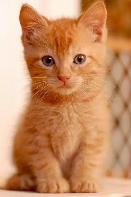 Рассказы для души