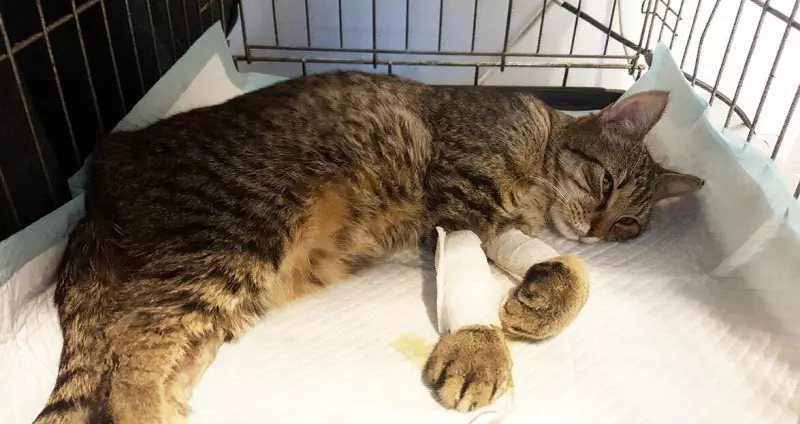 Рассказы для души