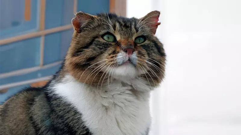 Рассказы для души