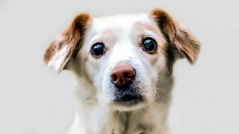 Рассказы для души