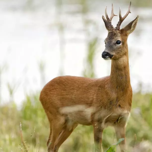 Рассказы для души