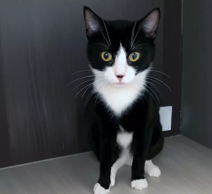 Рассказы для души