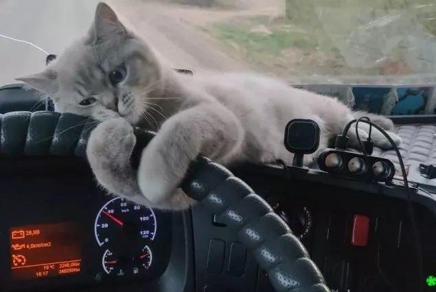 Рассказы для души