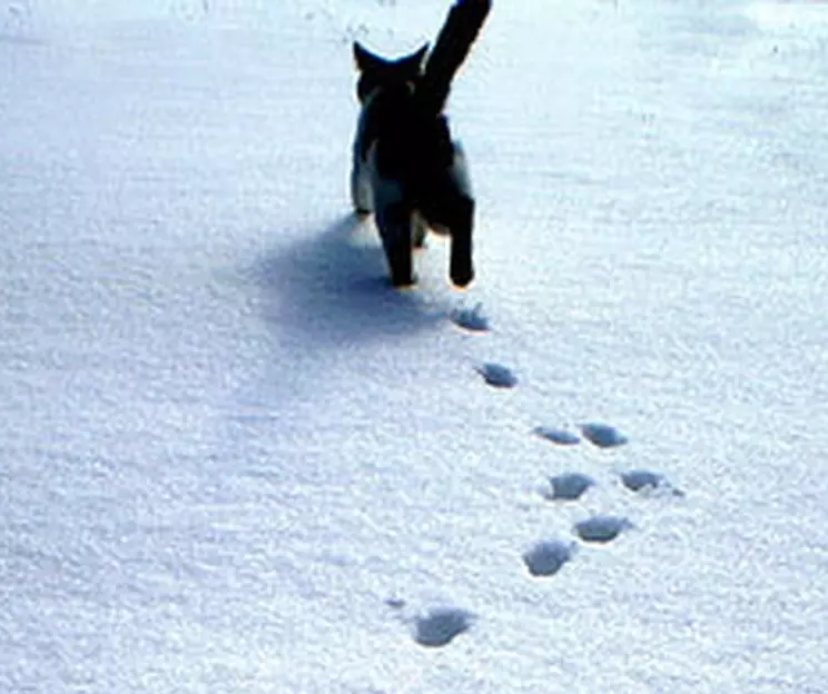 Рассказы для души