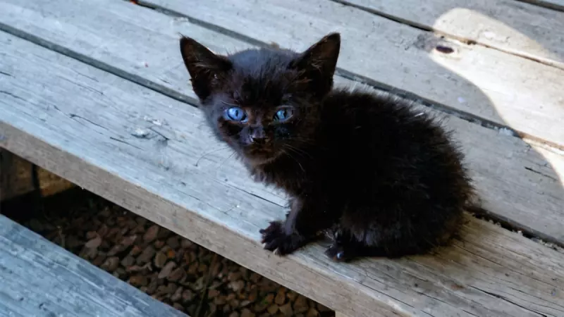 Рассказы для души