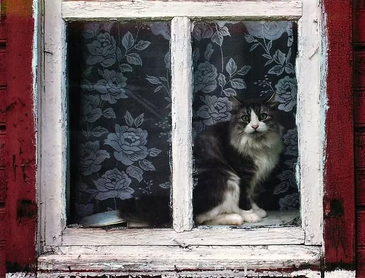 Рассказы для души