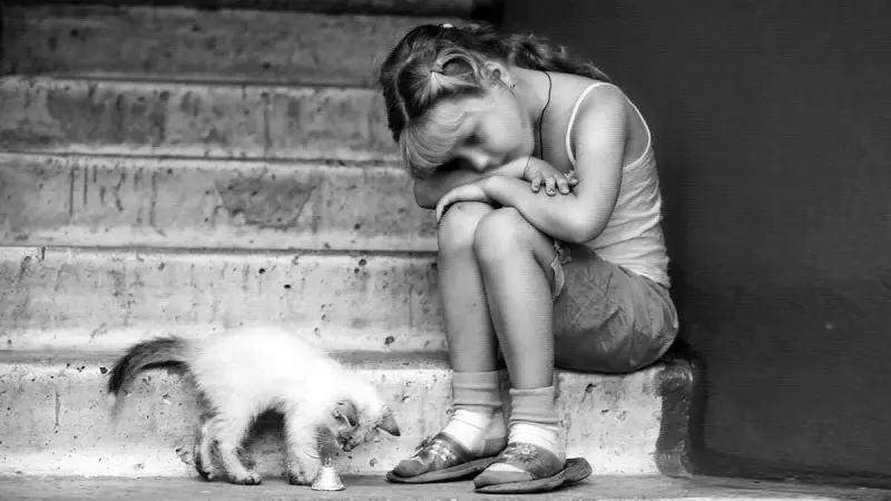 Рассказы для души